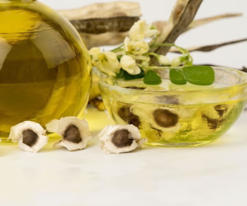 Moringa – The Miracle Tree – モリンガ – 奇跡の木 –