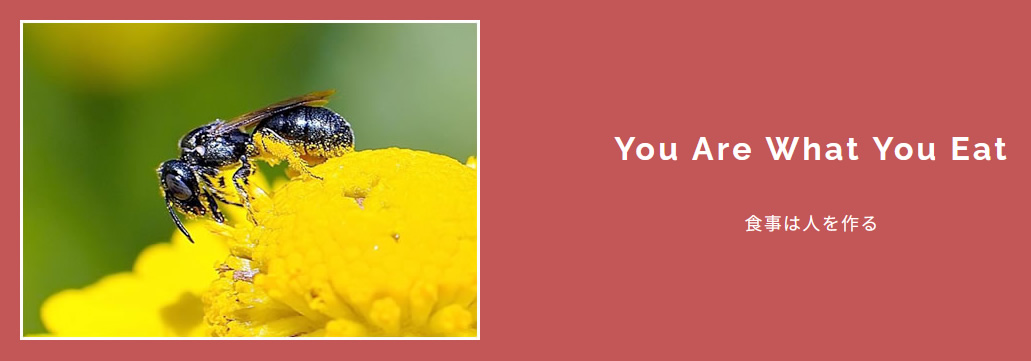 スレイマン株式会社